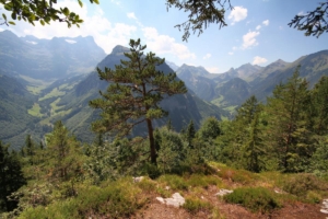 sur la crête de la Scheidegg