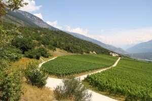 près de Miège