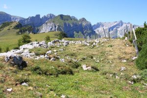 au fond : le Säntis