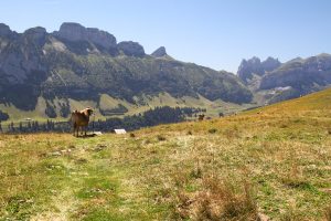vue sur la partie sud de l'Alpstein