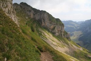 regard en arrière (on distingue Schäfler)