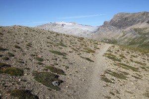 le glacier de Tsanfleuron