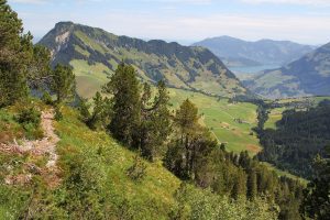 montée sur l'Arvigrat