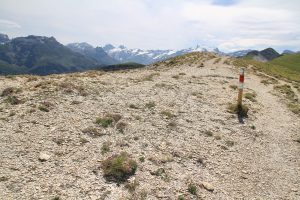 sur la crête ... au loin le Titlis et les Spannort
