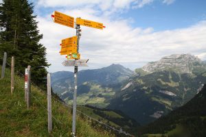 au Storeggpass