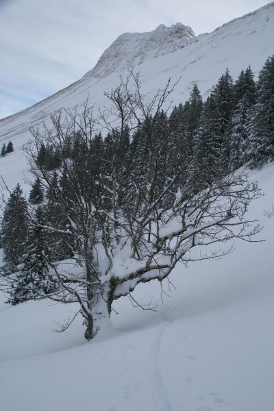 Dent de Lys 