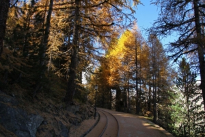 sur le chemin de l'hôtel Riffelalp