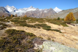 Vers le Grünsee