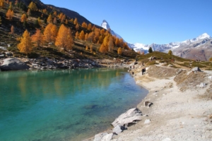 Grünsee