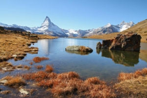 Stellisee