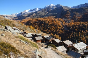 Findeln