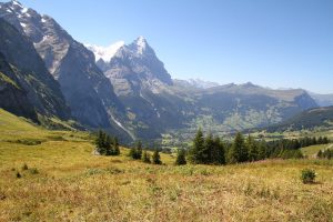 en descendant en direction de Grindelwald