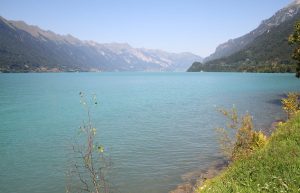 au bord du lac de Brienz