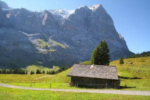 au pied du Wetterhorn