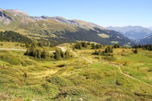 depuis le col (du côté de la montée)