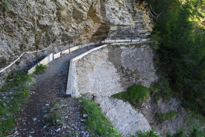 Bisse de Rhô