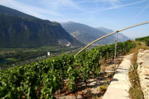 Bisse de Sillonin