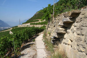Bisse de Sillonin