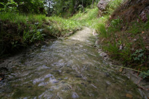 Bisse de Lüegjeru 