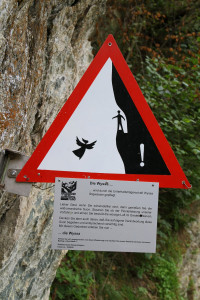 la Wyssa 