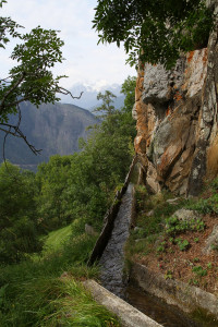 Steiwasser