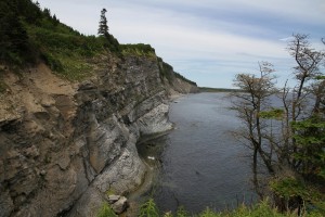 cap de Bon-Ami (parc de Forillon)