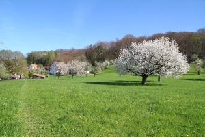 Nusshof
