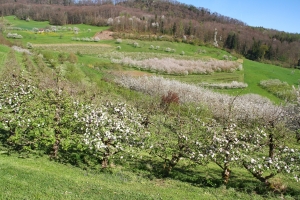 au-dessus de Sissach
