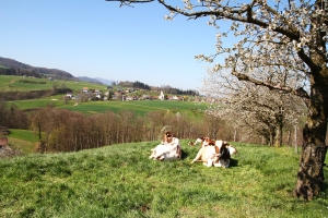 Kilchberg