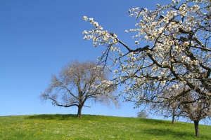 près d'Oltingen