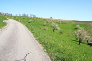 près d'Hemmiken
