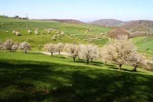 près de Rickenbach