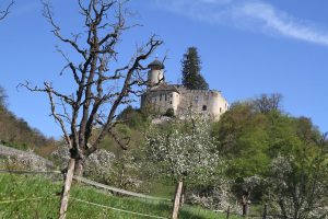 Burg Briseck
