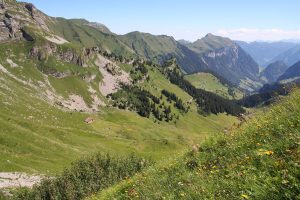 vue sur le Sulztal