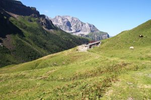 alpage de Rinderstafel