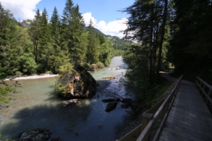 au bord de la Sarine