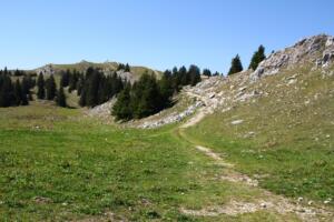 Mont Tendre