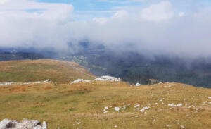 depuis le sommet du Suchet