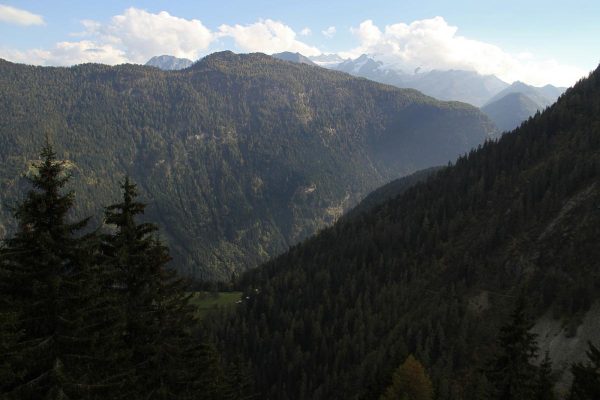 vallée du Trient