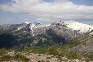  Wildhorn  