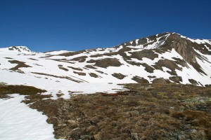 Tochuhorn à droite 