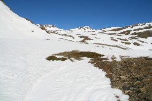 Spitzhorli au centre 
