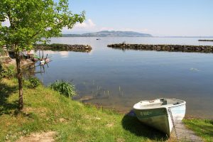 au bord du lac de Morat