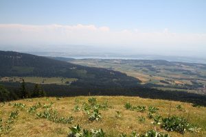 lac de Bienne