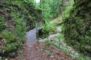 dans la Combe Grède