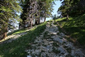 on sort de la Combe Grède