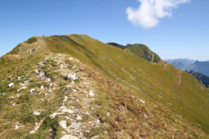 Crête de Moléson 