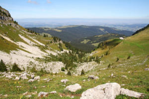 Tremetta