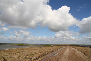 à marée basse, sur la route de l'île de Mandø