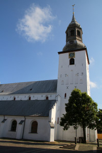 Budolfi Krike (à Aalborg) 
